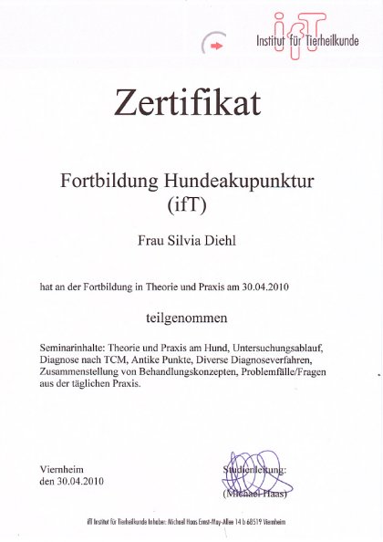 Fortbildung Hundeakupunktur IfT