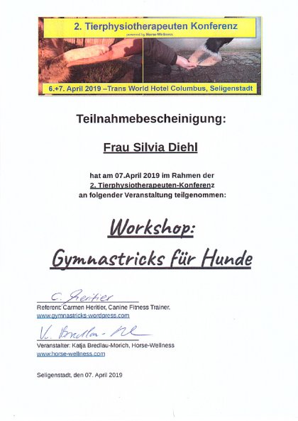 Workshop: Gymnastricks für Hunde