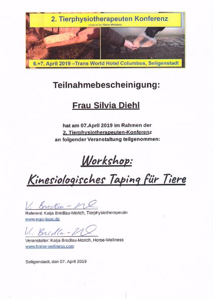 Kinesiologisches Taping für Tiere